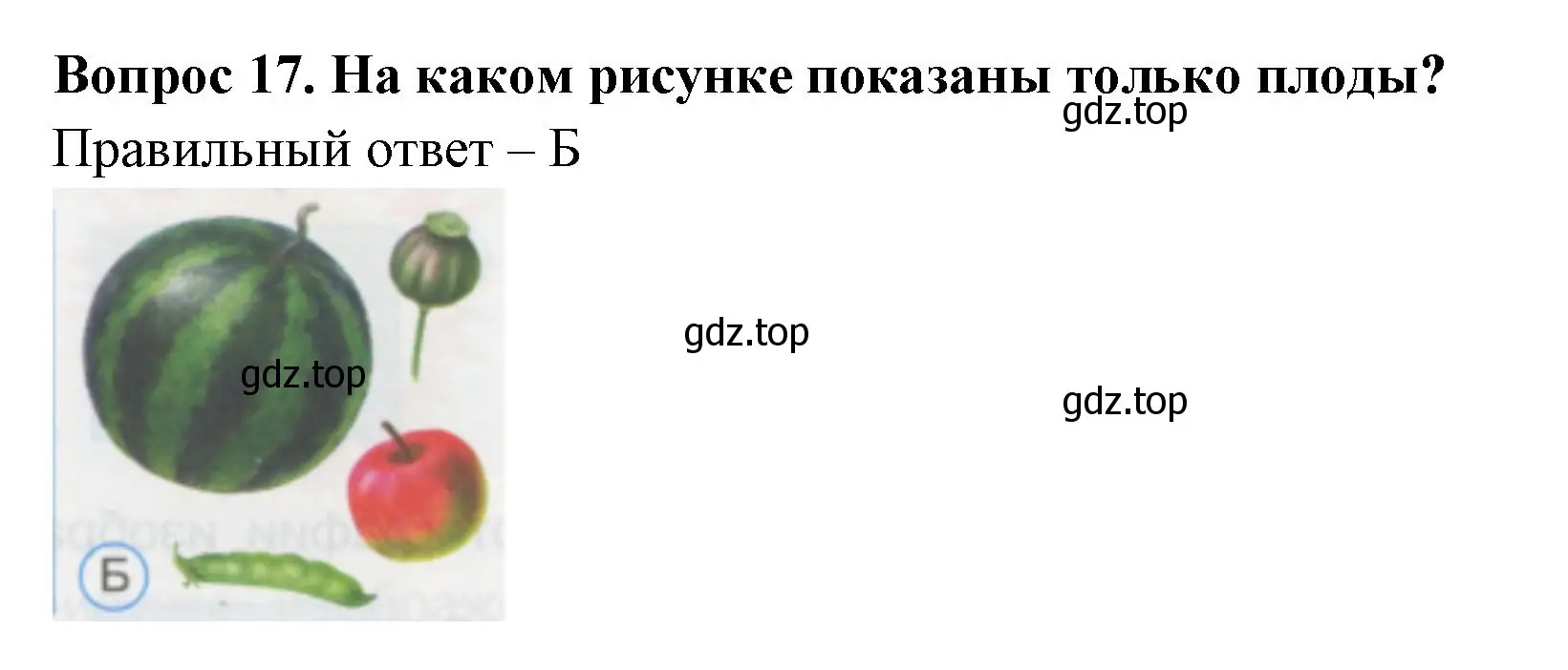 Решение номер 17 (страница 8) гдз по окружающему миру 1 класс Плешаков, Гара, тесты