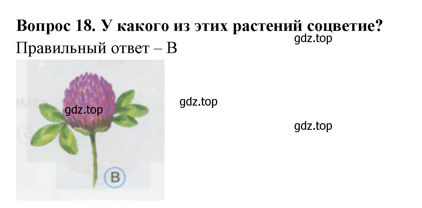 Решение номер 18 (страница 8) гдз по окружающему миру 1 класс Плешаков, Гара, тесты