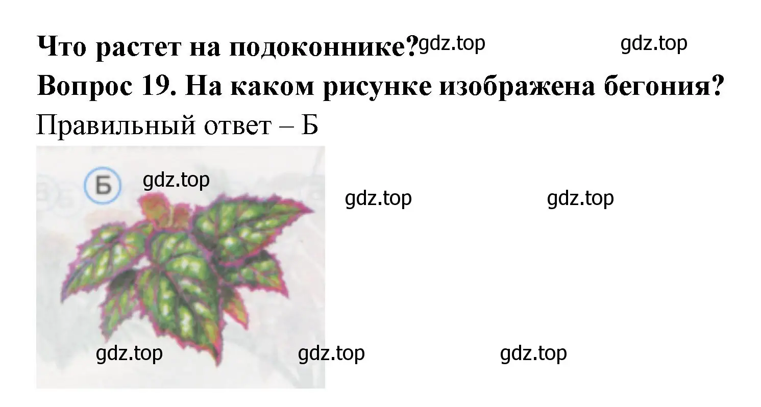 Решение номер 19 (страница 9) гдз по окружающему миру 1 класс Плешаков, Гара, тесты