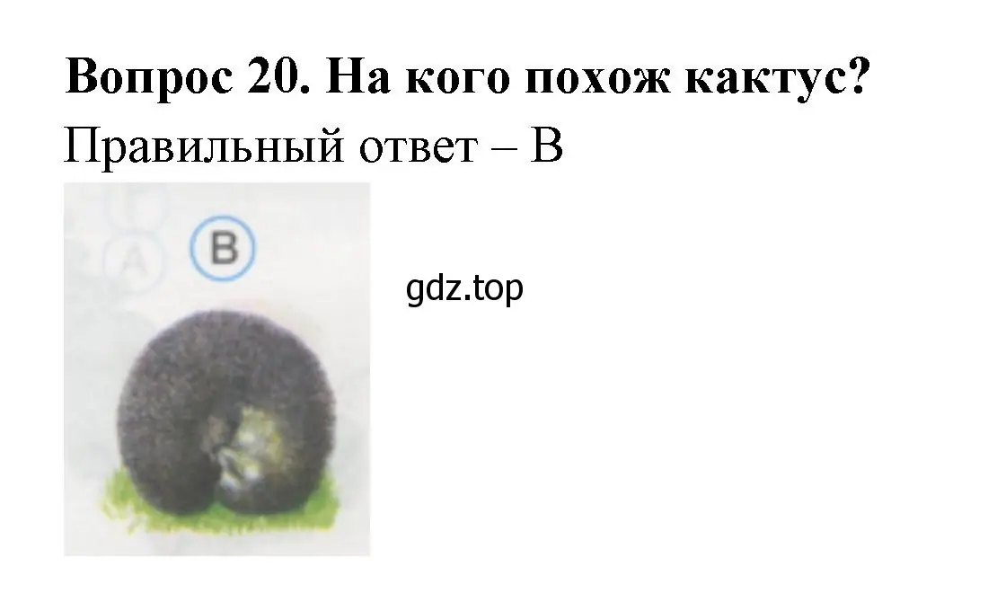 Решение номер 20 (страница 9) гдз по окружающему миру 1 класс Плешаков, Гара, тесты