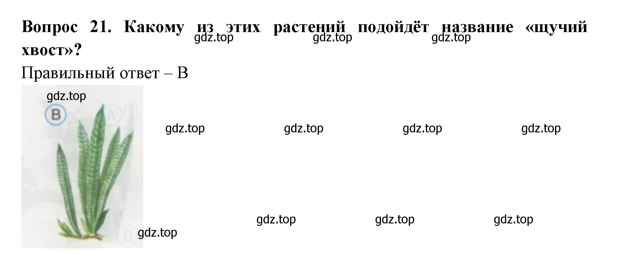 Решение номер 21 (страница 9) гдз по окружающему миру 1 класс Плешаков, Гара, тесты