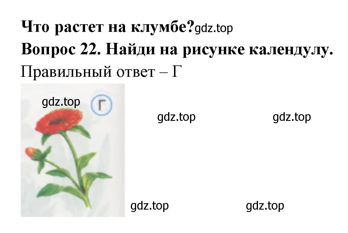 Решение номер 22 (страница 10) гдз по окружающему миру 1 класс Плешаков, Гара, тесты