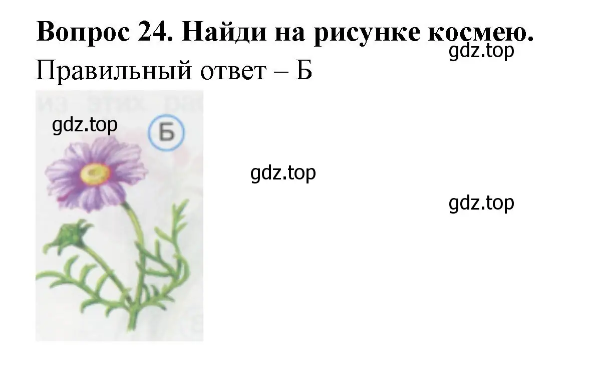 Решение номер 24 (страница 10) гдз по окружающему миру 1 класс Плешаков, Гара, тесты