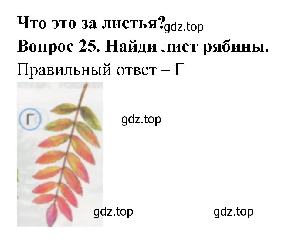 Решение номер 25 (страница 11) гдз по окружающему миру 1 класс Плешаков, Гара, тесты