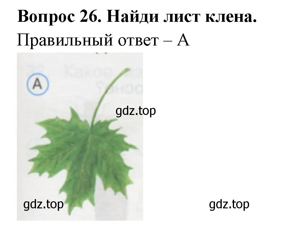 Решение номер 26 (страница 11) гдз по окружающему миру 1 класс Плешаков, Гара, тесты