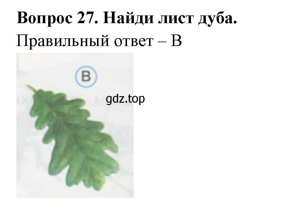 Решение номер 27 (страница 11) гдз по окружающему миру 1 класс Плешаков, Гара, тесты