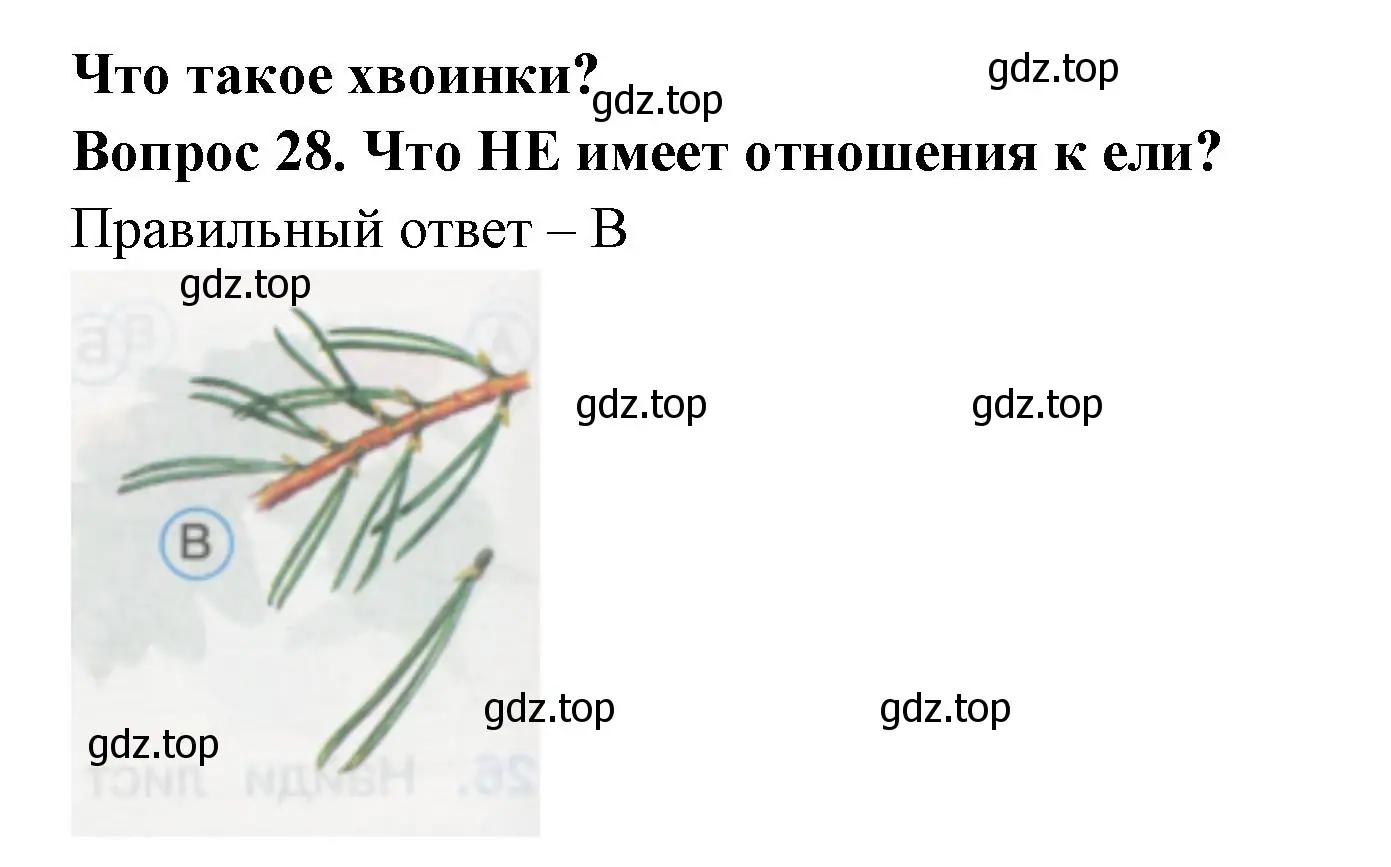 Решение номер 28 (страница 12) гдз по окружающему миру 1 класс Плешаков, Гара, тесты