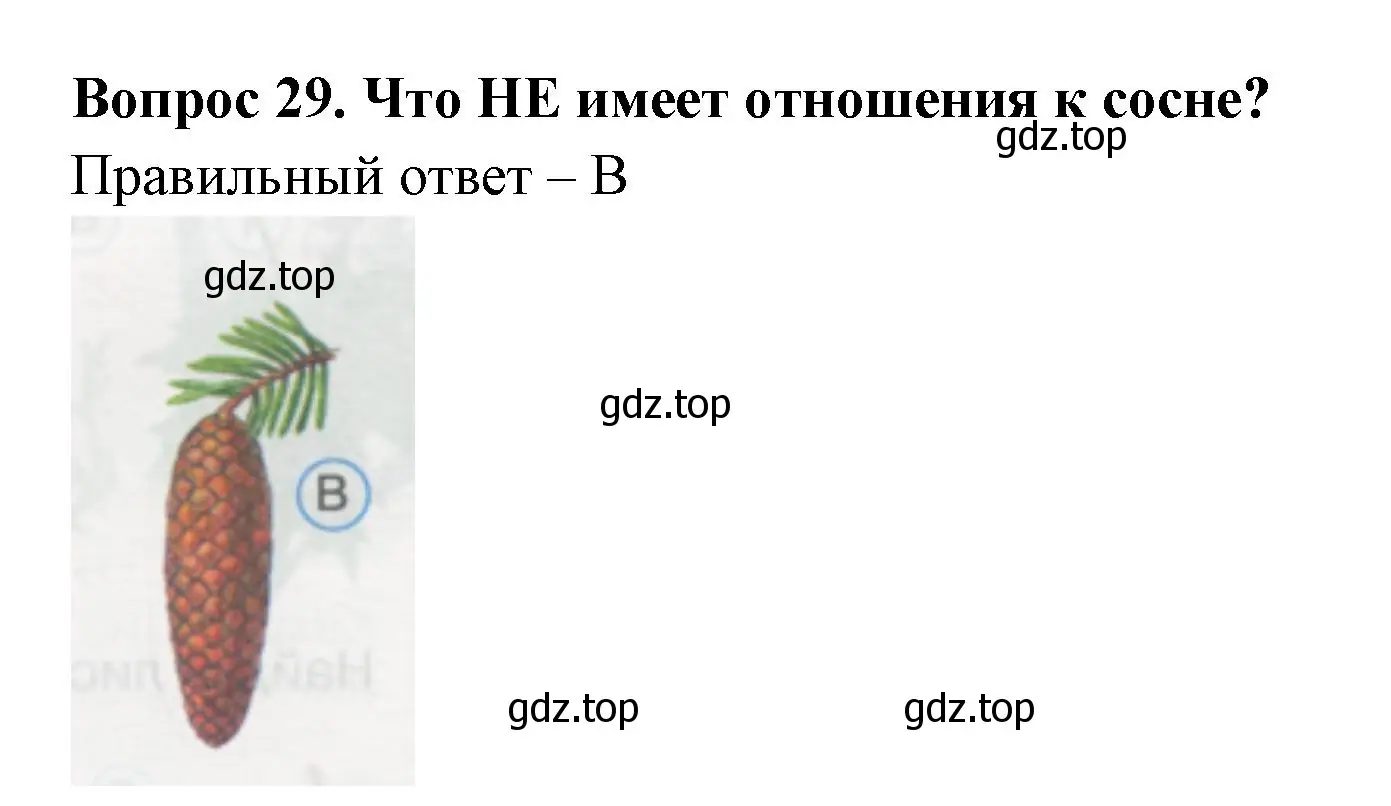 Решение номер 29 (страница 12) гдз по окружающему миру 1 класс Плешаков, Гара, тесты