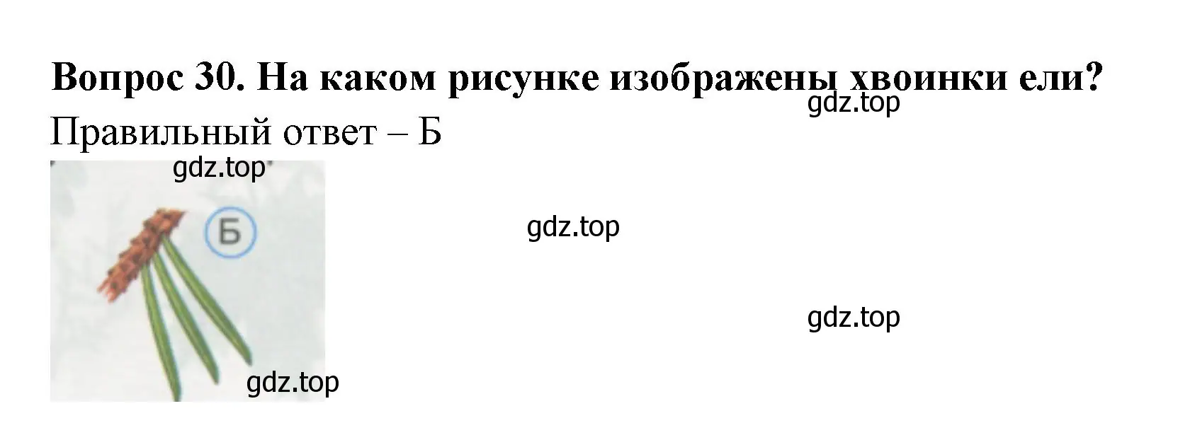 Решение номер 30 (страница 12) гдз по окружающему миру 1 класс Плешаков, Гара, тесты