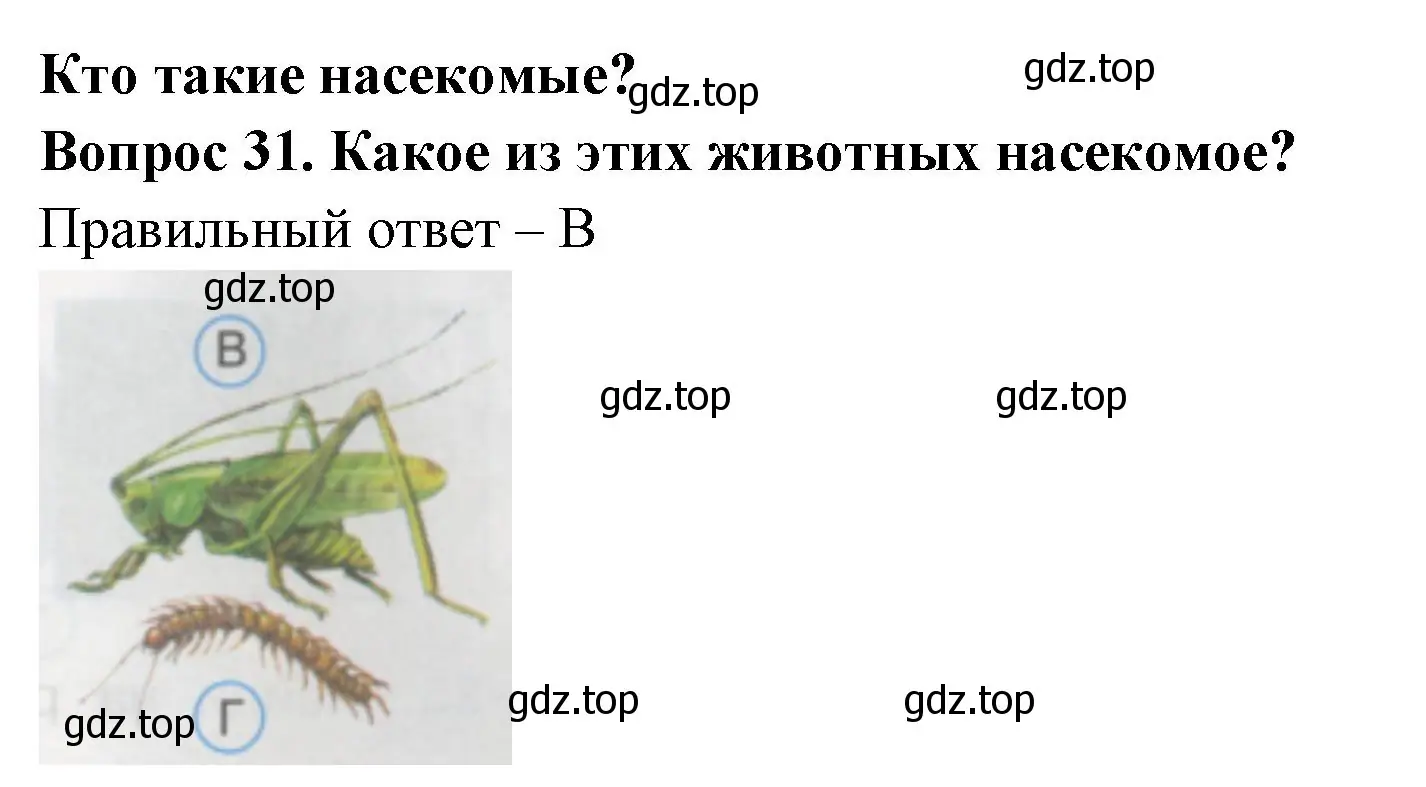 Решение номер 31 (страница 13) гдз по окружающему миру 1 класс Плешаков, Гара, тесты