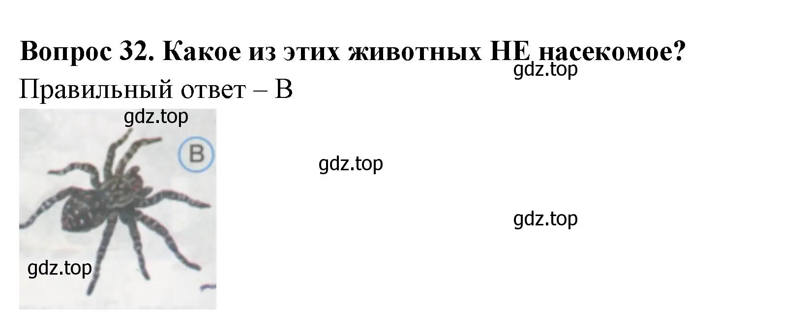 Решение номер 32 (страница 13) гдз по окружающему миру 1 класс Плешаков, Гара, тесты