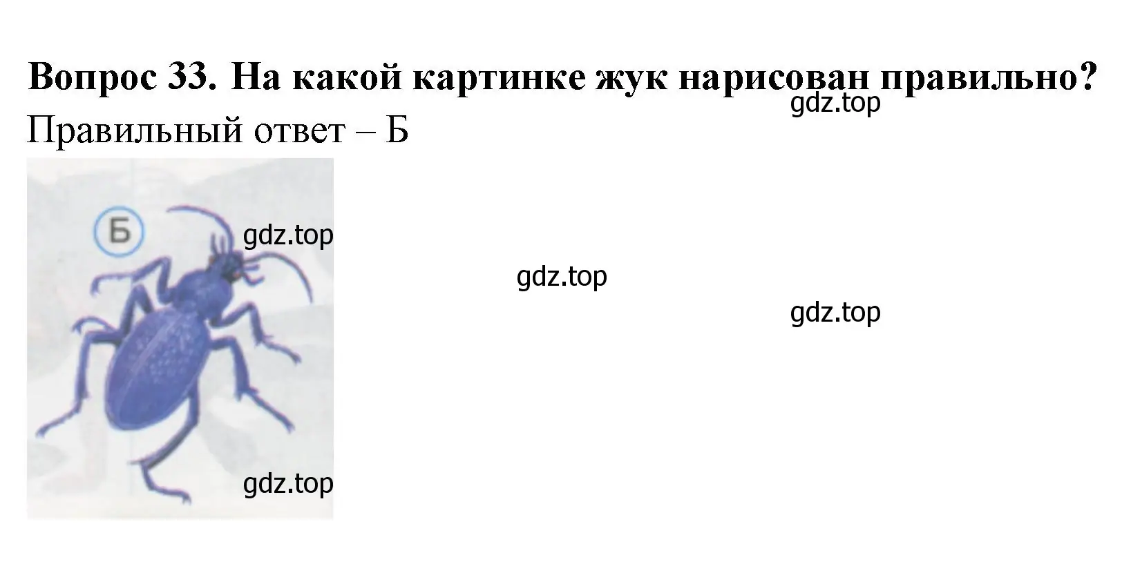 Решение номер 33 (страница 13) гдз по окружающему миру 1 класс Плешаков, Гара, тесты