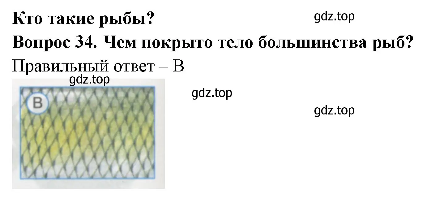 Решение номер 34 (страница 14) гдз по окружающему миру 1 класс Плешаков, Гара, тесты