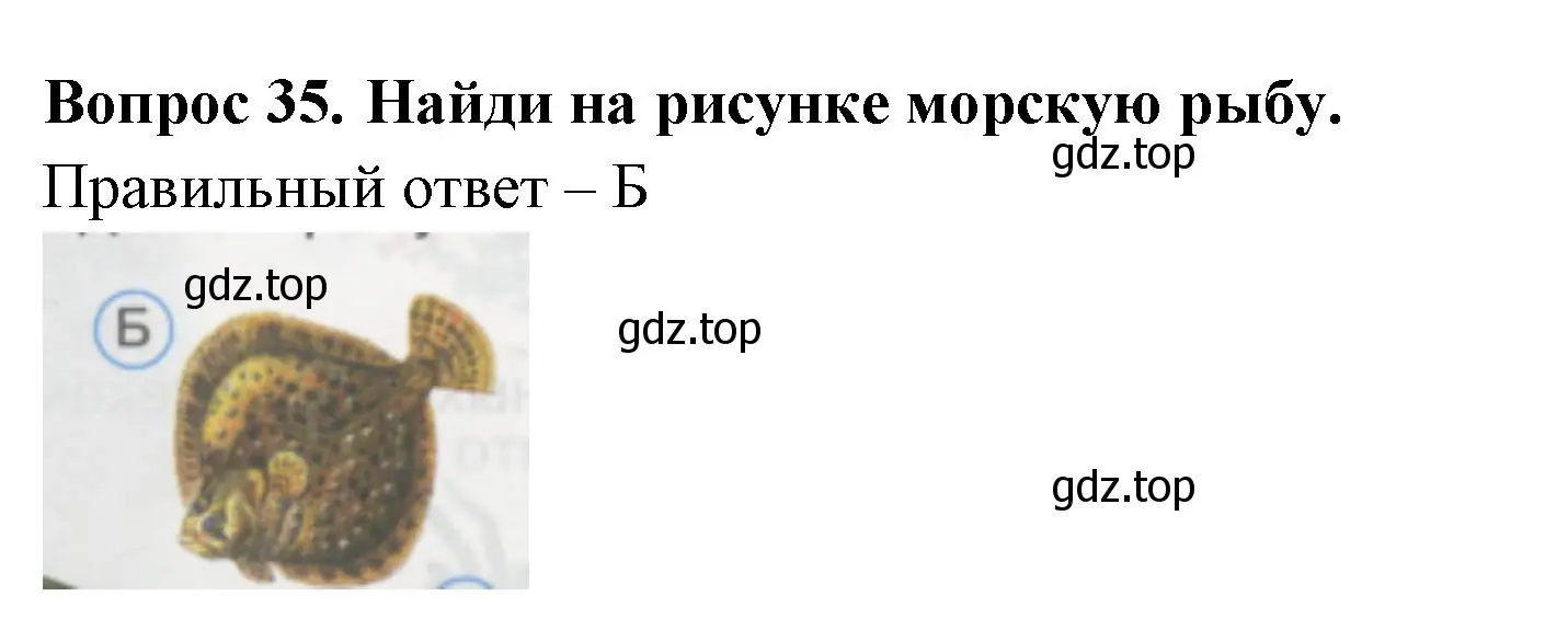 Решение номер 35 (страница 14) гдз по окружающему миру 1 класс Плешаков, Гара, тесты