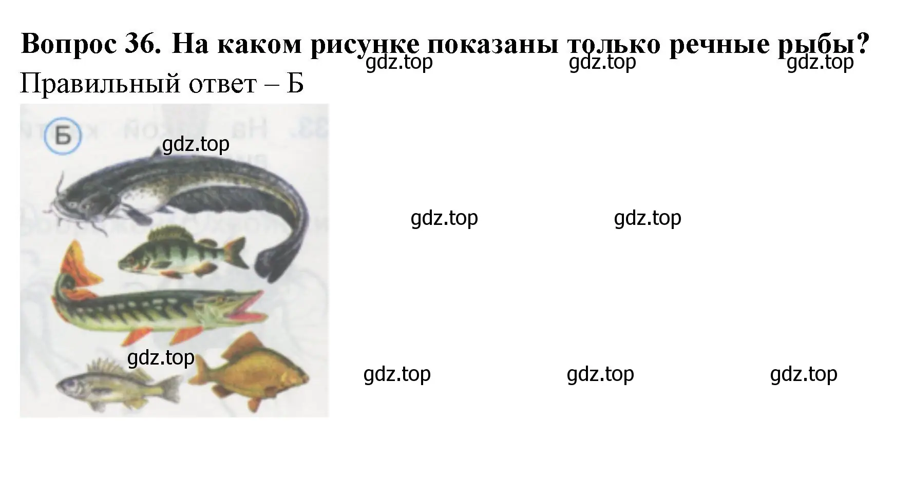 Решение номер 36 (страница 14) гдз по окружающему миру 1 класс Плешаков, Гара, тесты