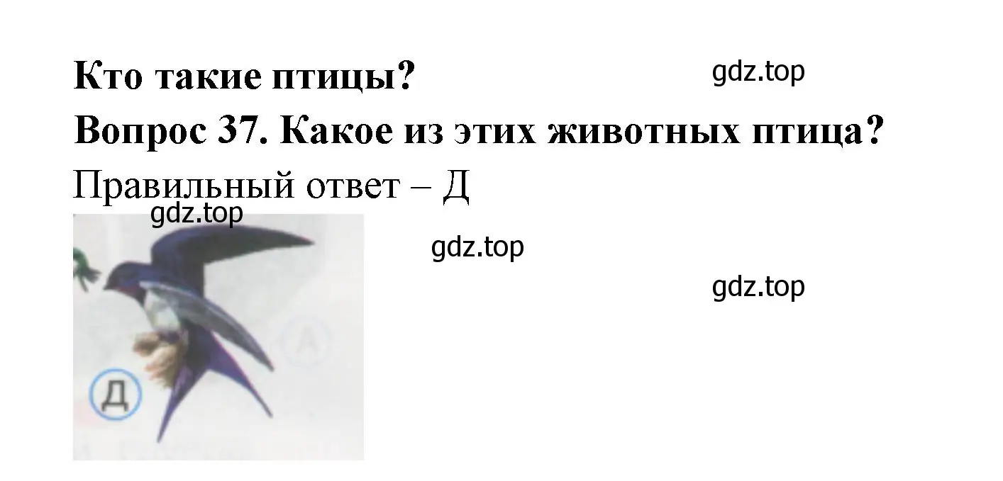 Решение номер 37 (страница 15) гдз по окружающему миру 1 класс Плешаков, Гара, тесты