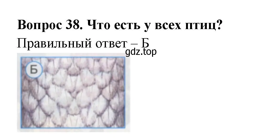 Решение номер 38 (страница 15) гдз по окружающему миру 1 класс Плешаков, Гара, тесты