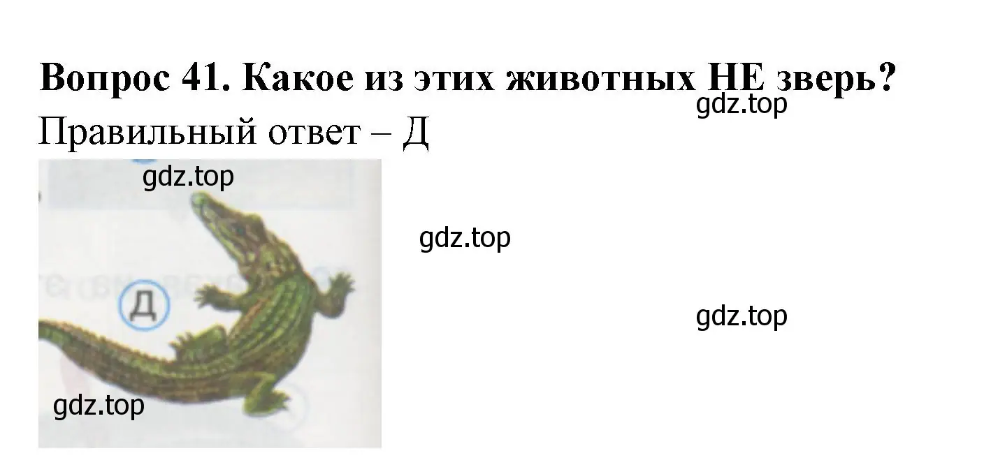 Решение номер 41 (страница 16) гдз по окружающему миру 1 класс Плешаков, Гара, тесты