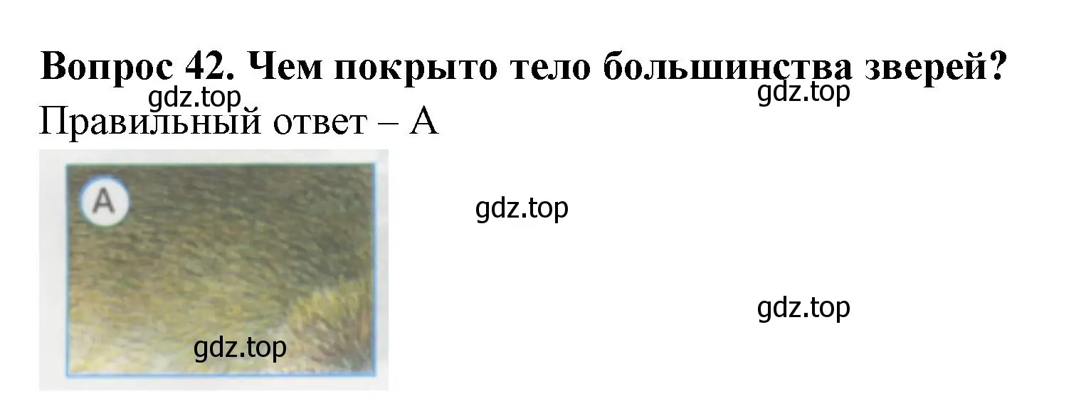 Решение номер 42 (страница 16) гдз по окружающему миру 1 класс Плешаков, Гара, тесты