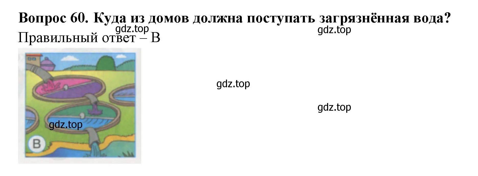 Решение номер 60 (страница 22) гдз по окружающему миру 1 класс Плешаков, Гара, тесты