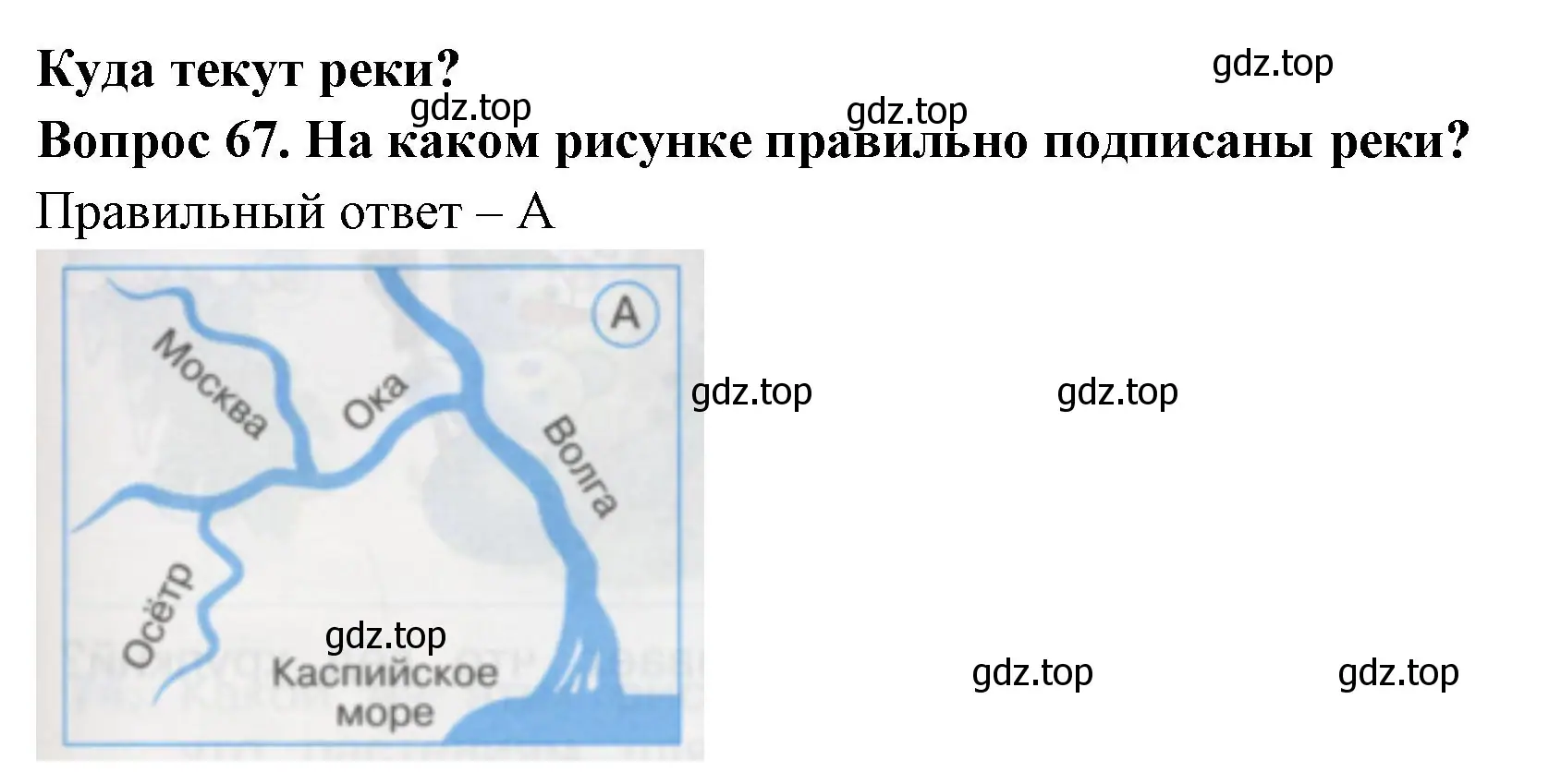 Решение номер 67 (страница 25) гдз по окружающему миру 1 класс Плешаков, Гара, тесты