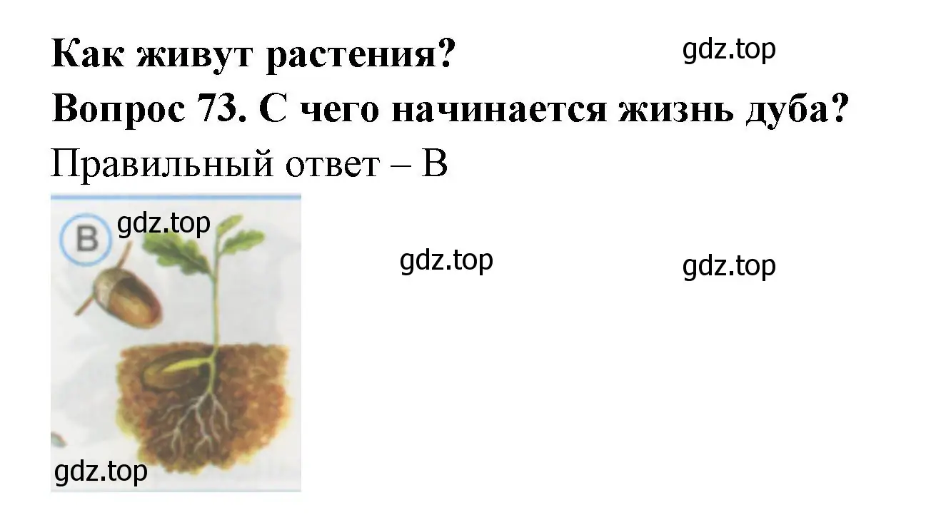 Решение номер 73 (страница 27) гдз по окружающему миру 1 класс Плешаков, Гара, тесты