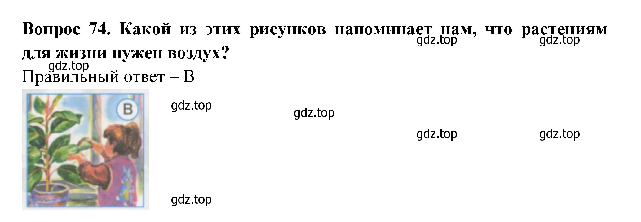 Решение номер 74 (страница 27) гдз по окружающему миру 1 класс Плешаков, Гара, тесты