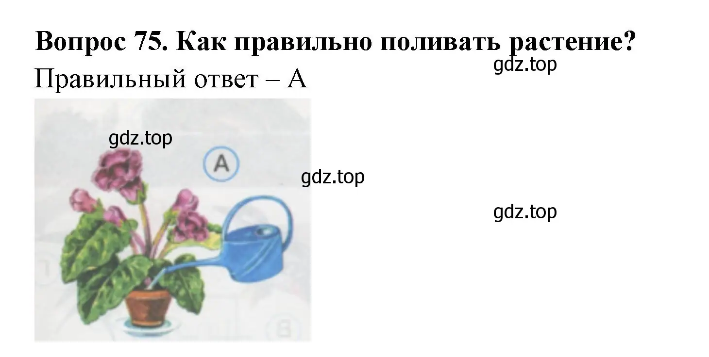 Решение номер 75 (страница 27) гдз по окружающему миру 1 класс Плешаков, Гара, тесты