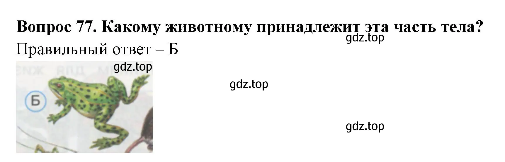 Решение номер 77 (страница 28) гдз по окружающему миру 1 класс Плешаков, Гара, тесты