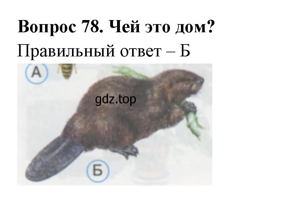 Решение номер 78 (страница 28) гдз по окружающему миру 1 класс Плешаков, Гара, тесты