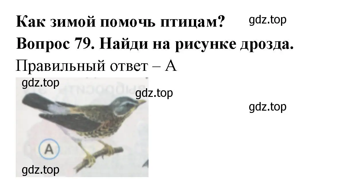 Решение номер 79 (страница 29) гдз по окружающему миру 1 класс Плешаков, Гара, тесты