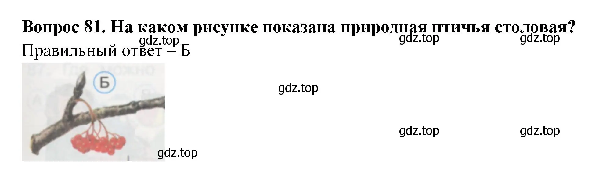 Решение номер 81 (страница 29) гдз по окружающему миру 1 класс Плешаков, Гара, тесты