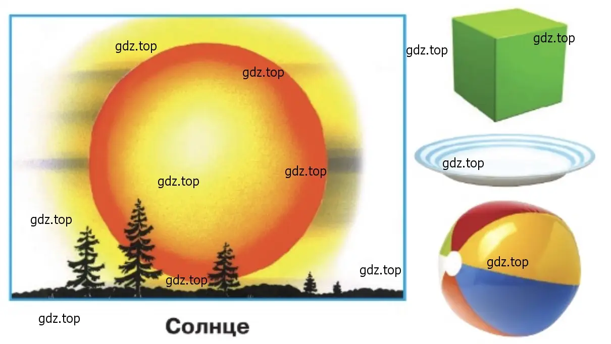 Сравните Солнце на рисунке и изображённые предметы по форме, цвету, размеру. - окружающий мир 2 класс Плешаков