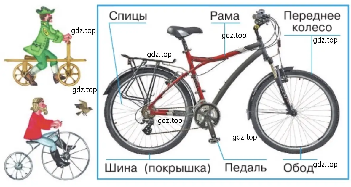 Сравните старинные велосипеды с современным. - окружающий мир 2 класс Плешаков