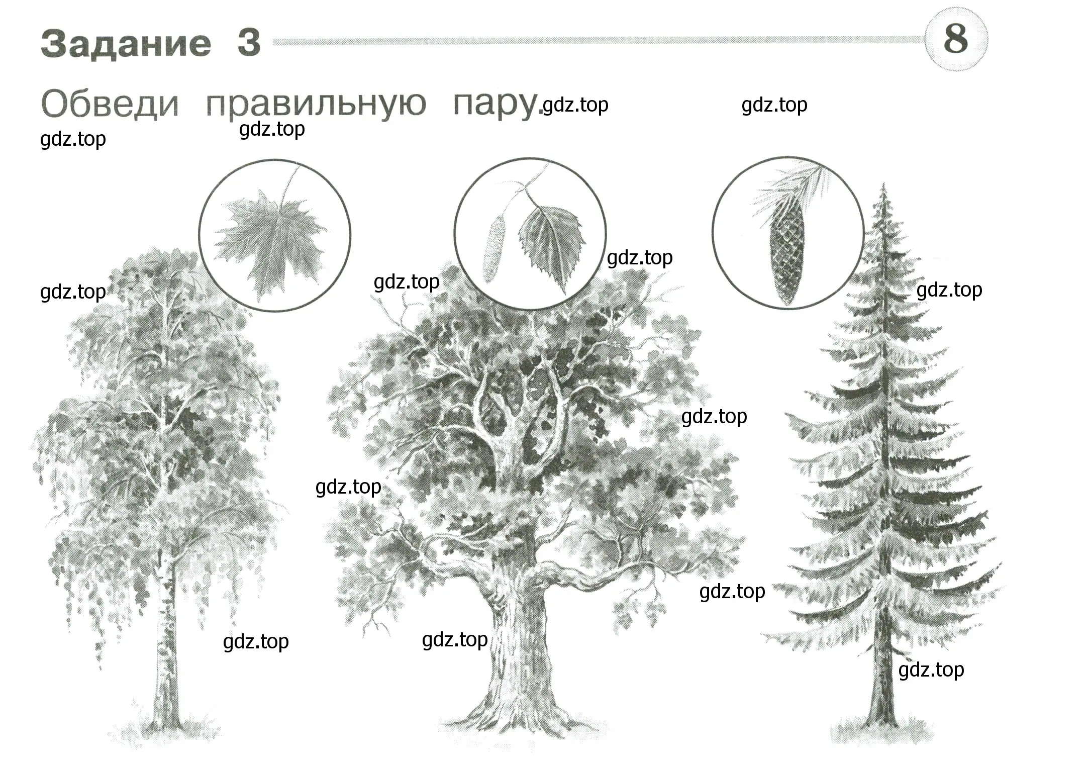 Условие номер 3 (страница 5) гдз по окружающему миру 1 класс Плешаков, Плешаков, проверочные работы