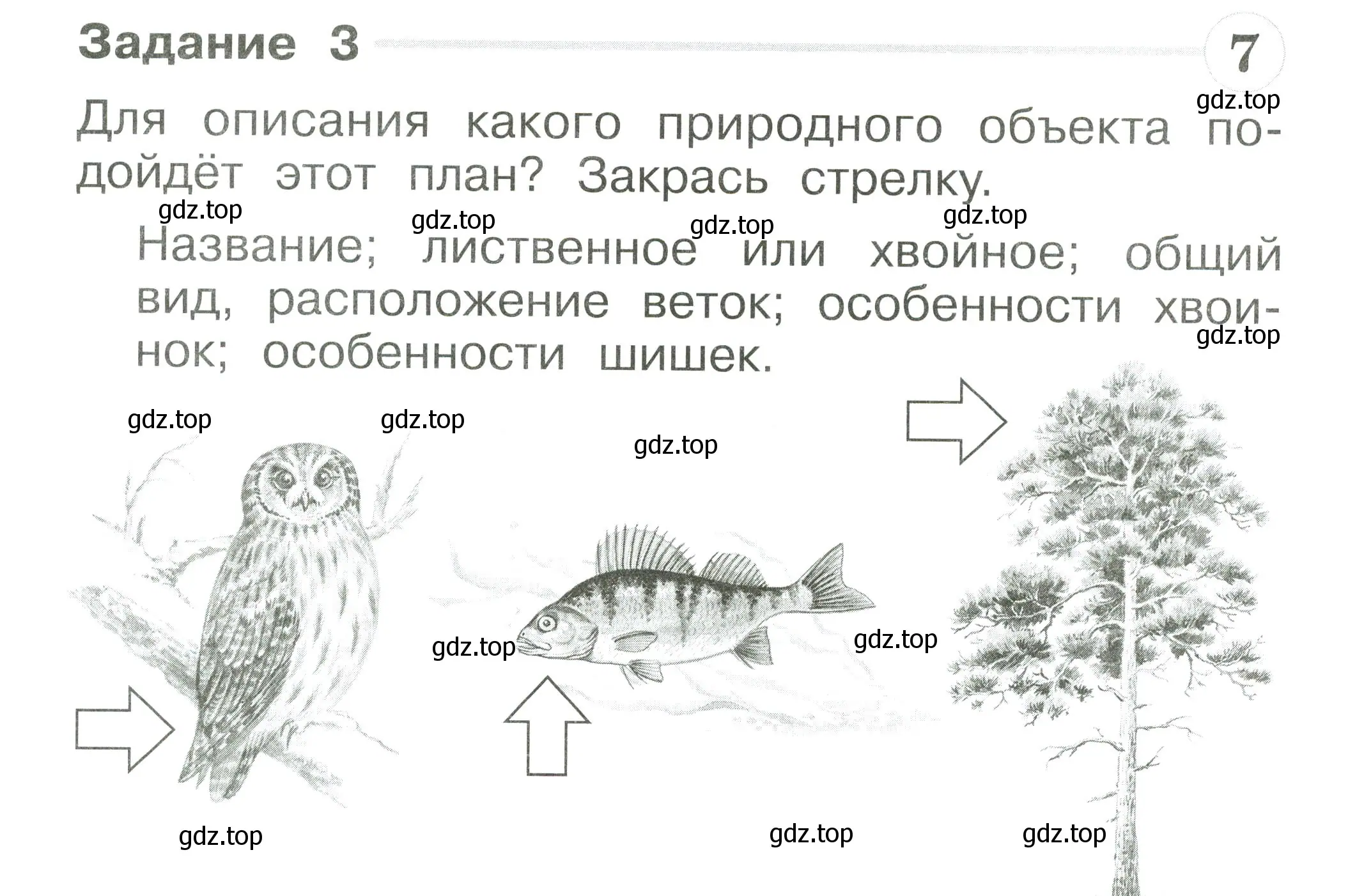 Условие номер 3 (страница 8) гдз по окружающему миру 1 класс Плешаков, Плешаков, проверочные работы