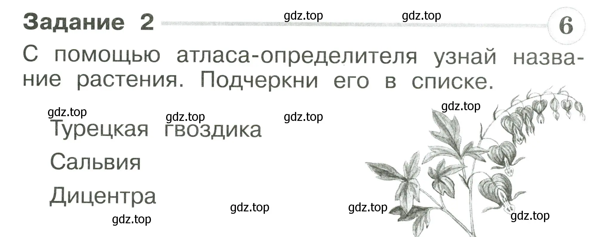 Условие номер 2 (страница 10) гдз по окружающему миру 1 класс Плешаков, Плешаков, проверочные работы