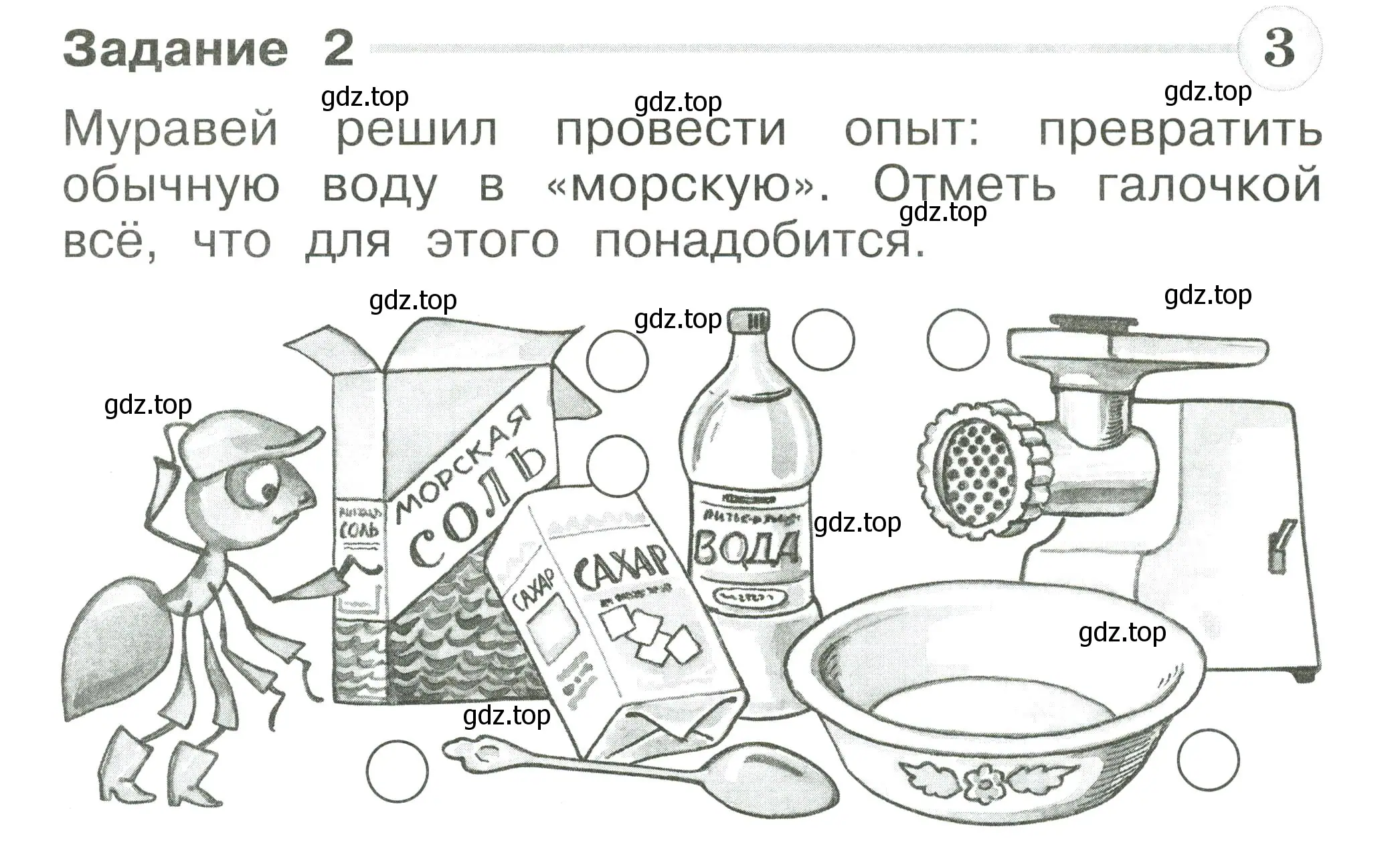 Условие номер 2 (страница 17) гдз по окружающему миру 1 класс Плешаков, Плешаков, проверочные работы