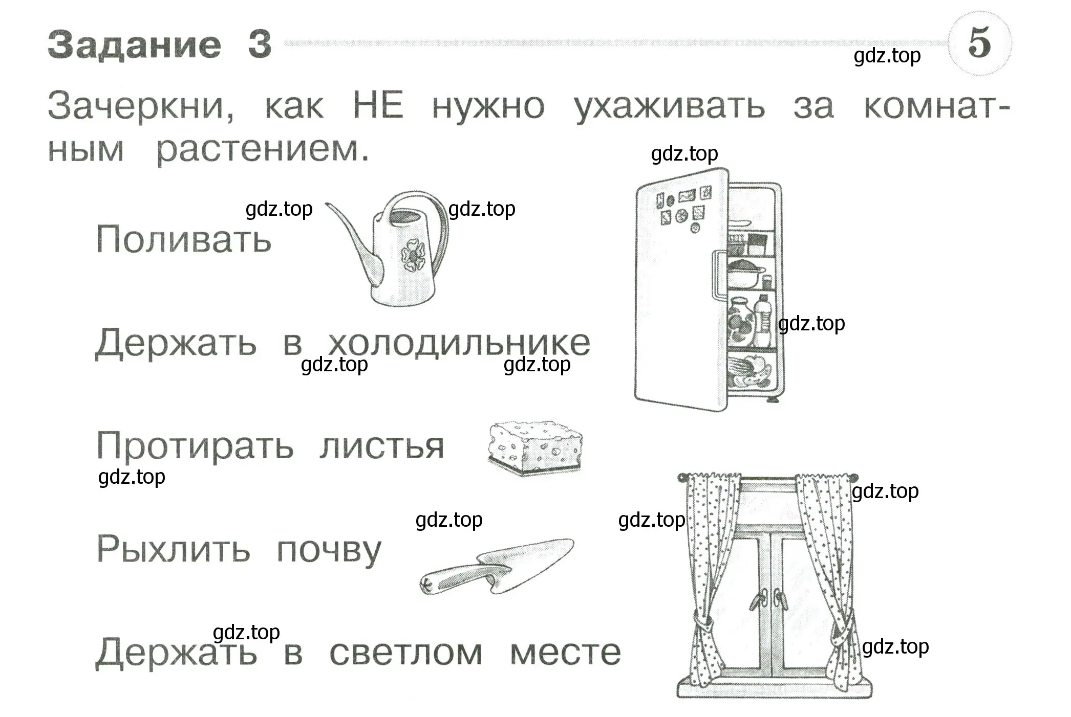 Условие номер 3 (страница 17) гдз по окружающему миру 1 класс Плешаков, Плешаков, проверочные работы