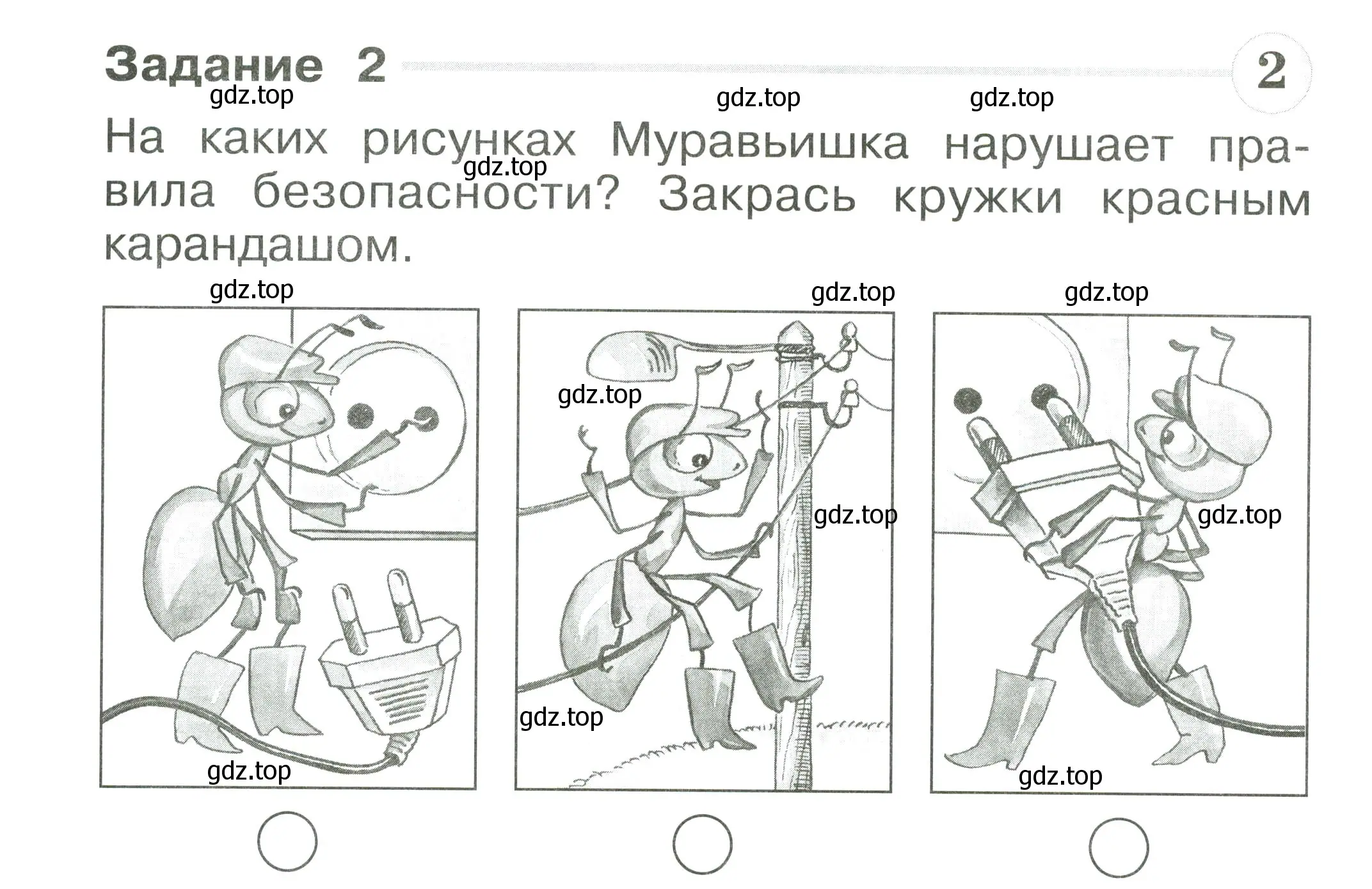 Условие номер 2 (страница 24) гдз по окружающему миру 1 класс Плешаков, Плешаков, проверочные работы