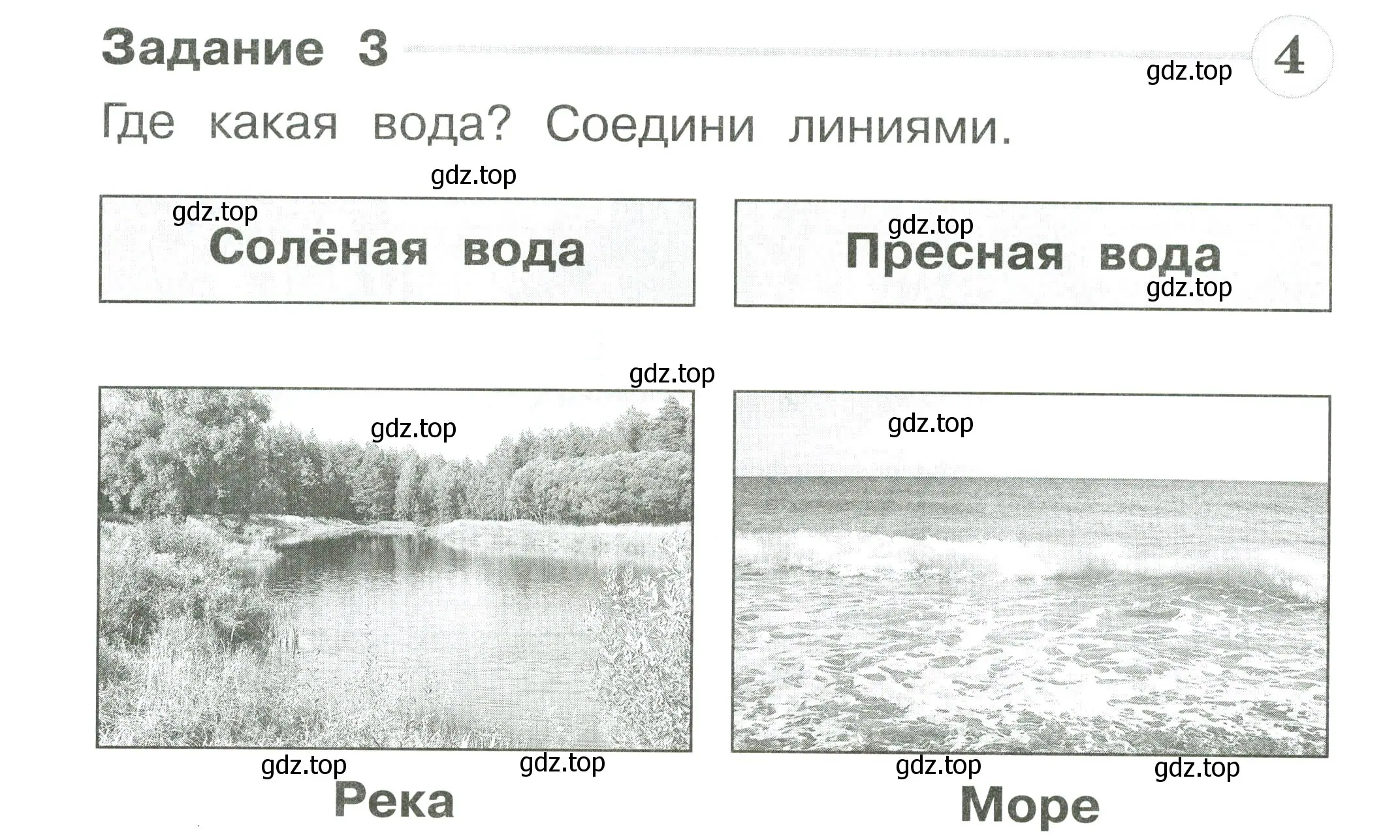 Условие номер 3 (страница 24) гдз по окружающему миру 1 класс Плешаков, Плешаков, проверочные работы