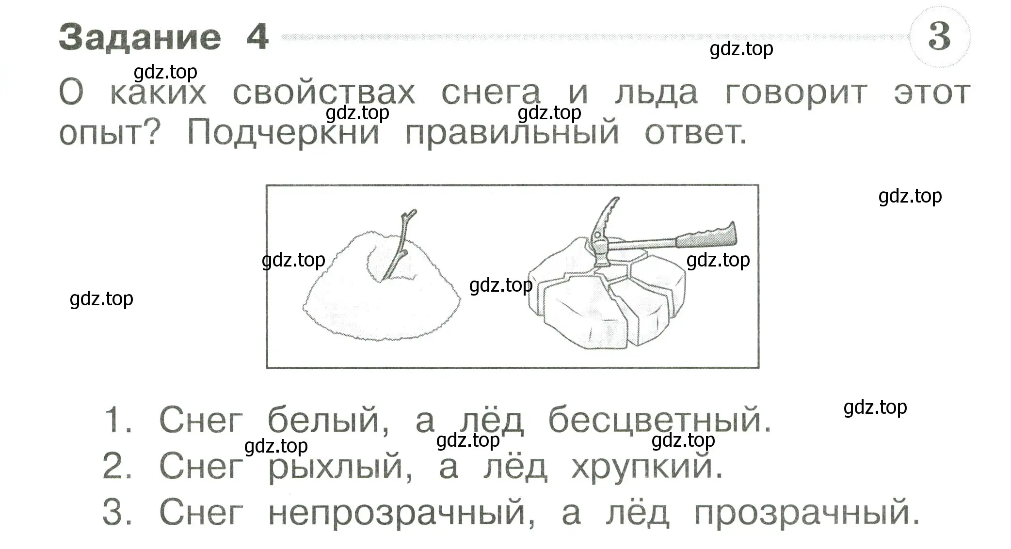 Условие номер 4 (страница 25) гдз по окружающему миру 1 класс Плешаков, Плешаков, проверочные работы