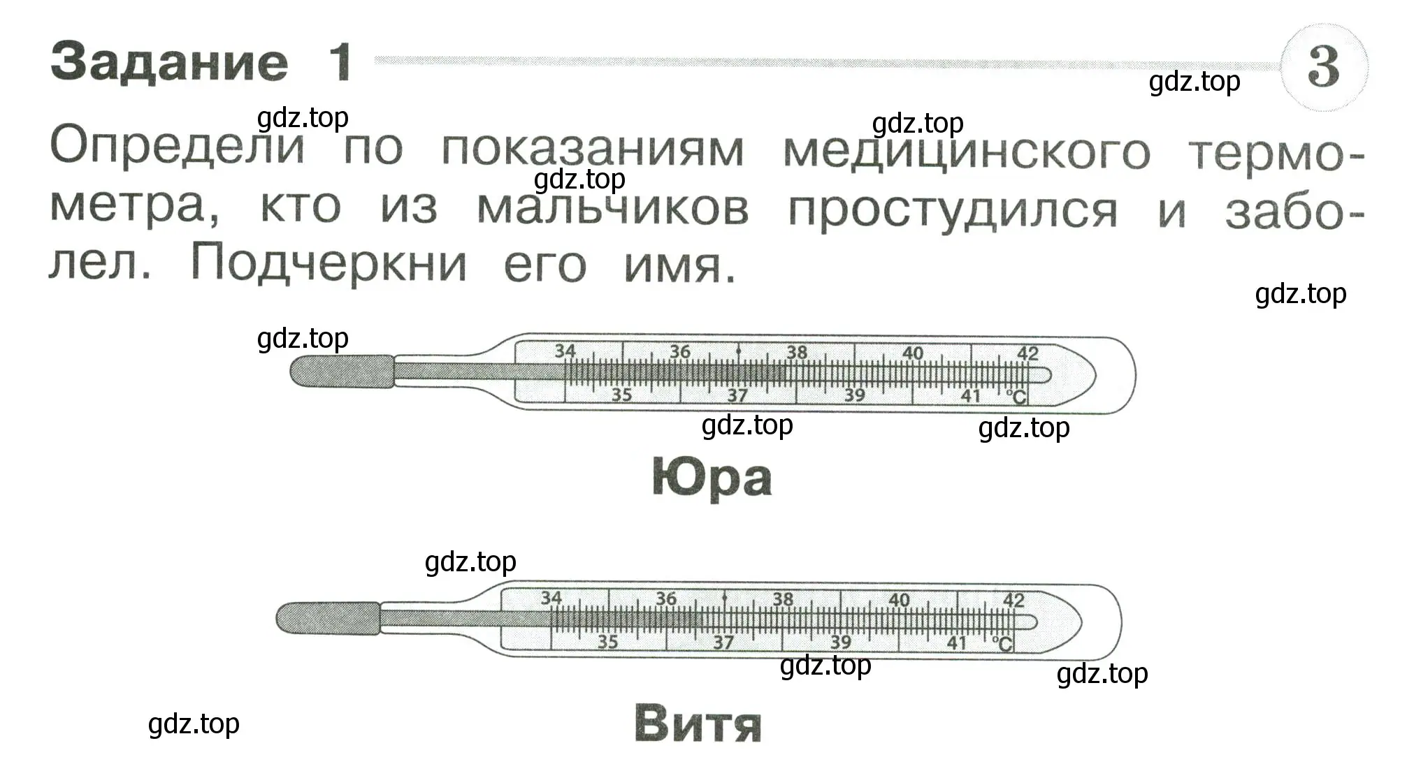 Условие номер 1 (страница 26) гдз по окружающему миру 1 класс Плешаков, Плешаков, проверочные работы