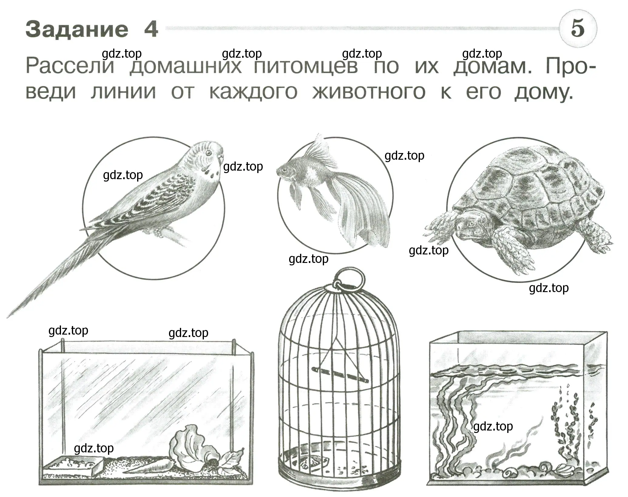 Условие номер 4 (страница 27) гдз по окружающему миру 1 класс Плешаков, Плешаков, проверочные работы