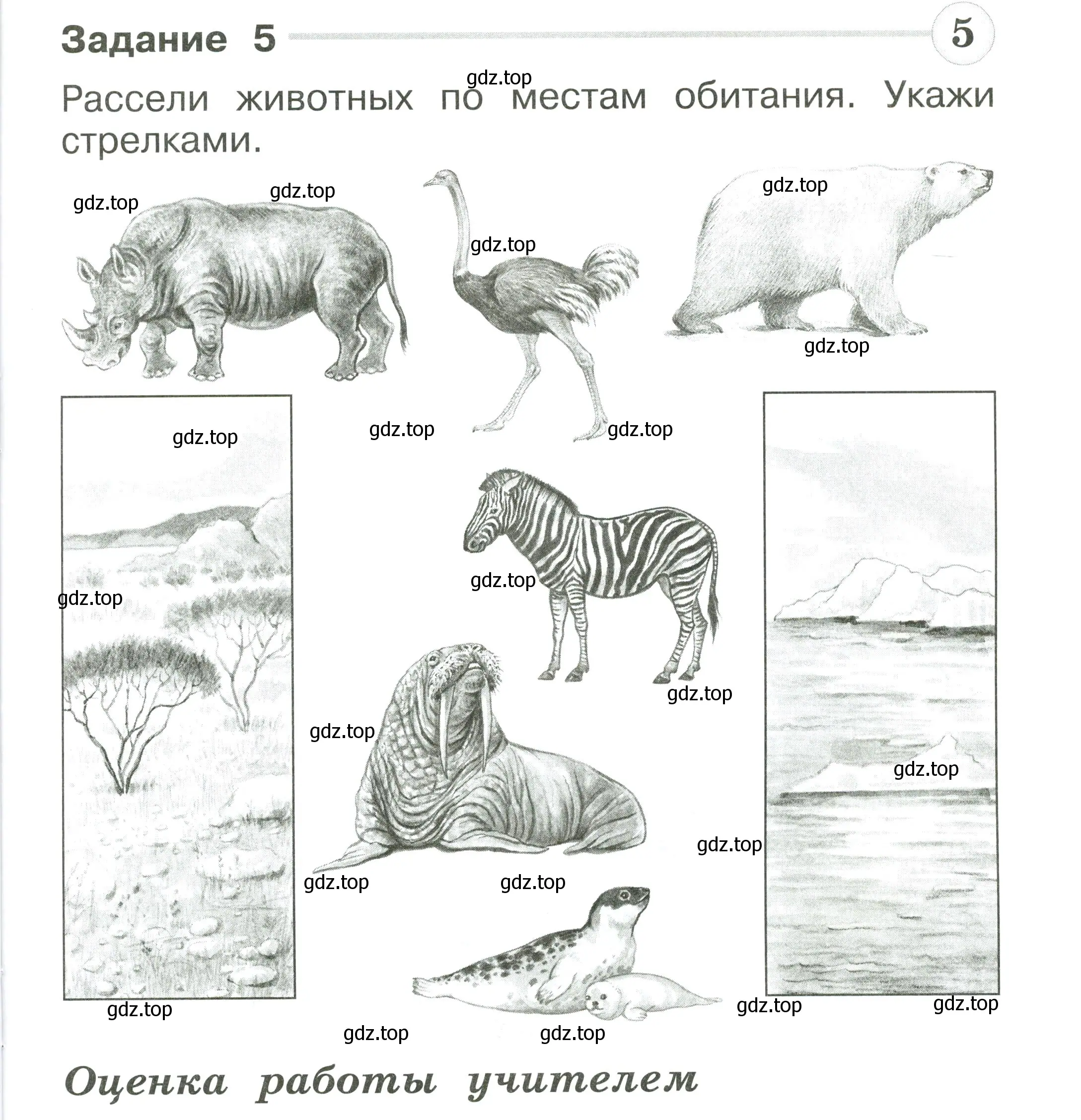 Условие номер 5 (страница 39) гдз по окружающему миру 1 класс Плешаков, Плешаков, проверочные работы