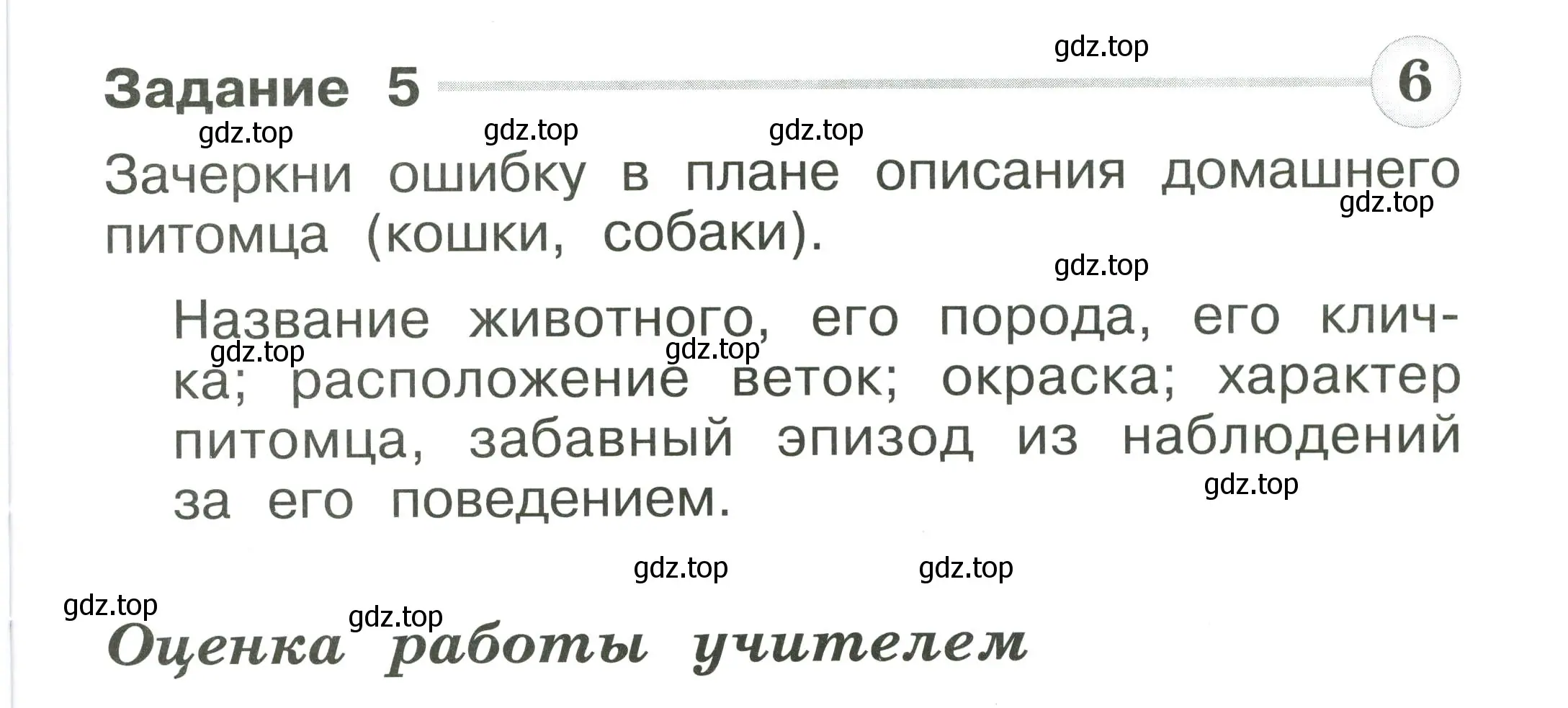 Условие номер 5 (страница 45) гдз по окружающему миру 1 класс Плешаков, Плешаков, проверочные работы