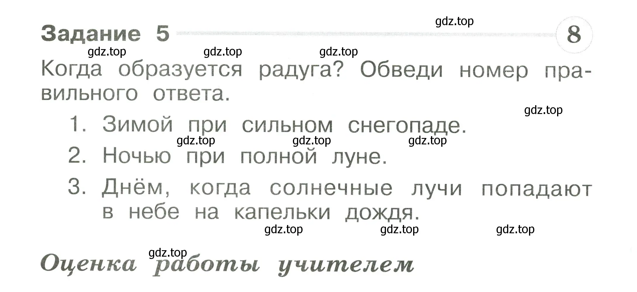 Условие номер 5 (страница 48) гдз по окружающему миру 1 класс Плешаков, Плешаков, проверочные работы