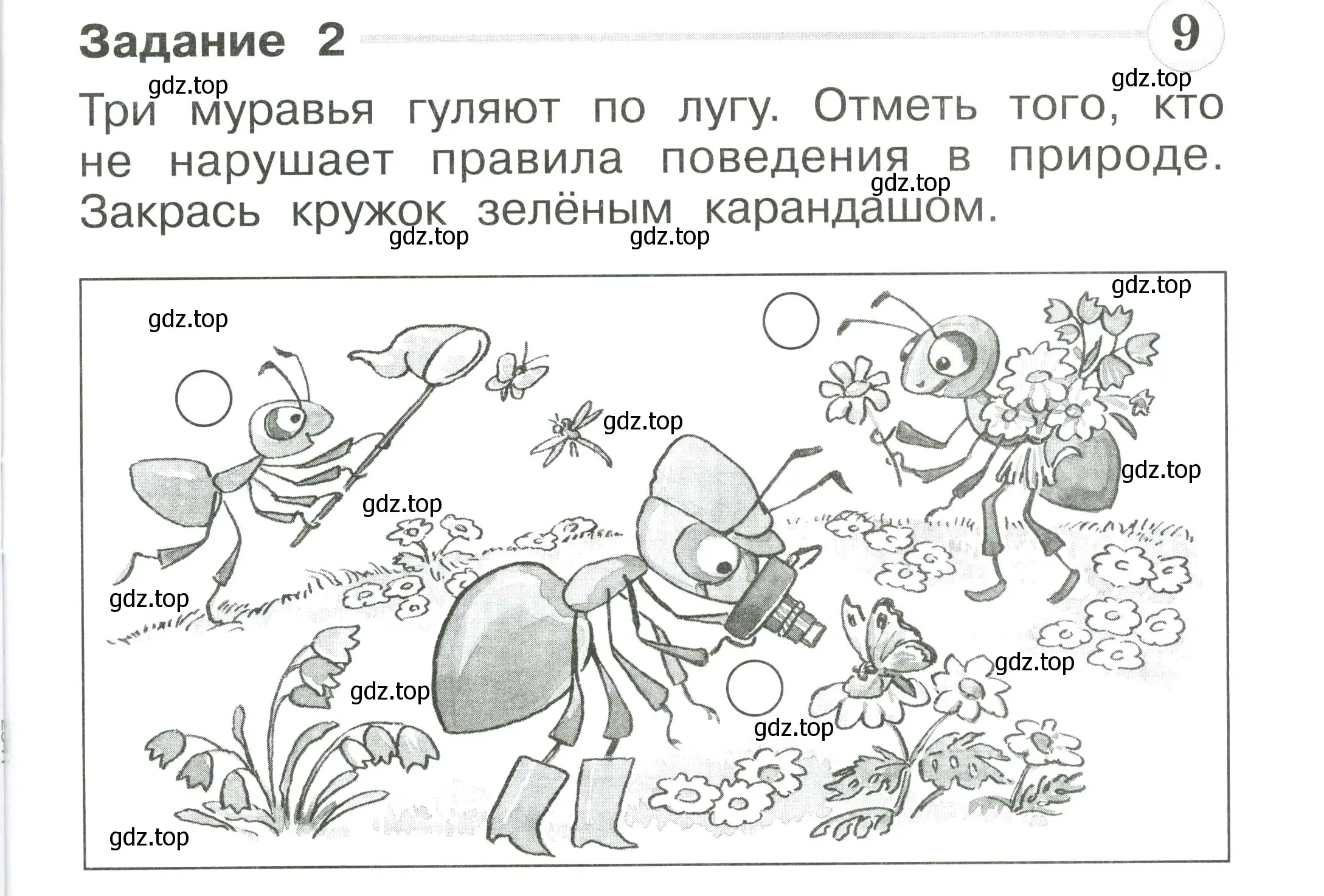 Условие номер 2 (страница 49) гдз по окружающему миру 1 класс Плешаков, Плешаков, проверочные работы