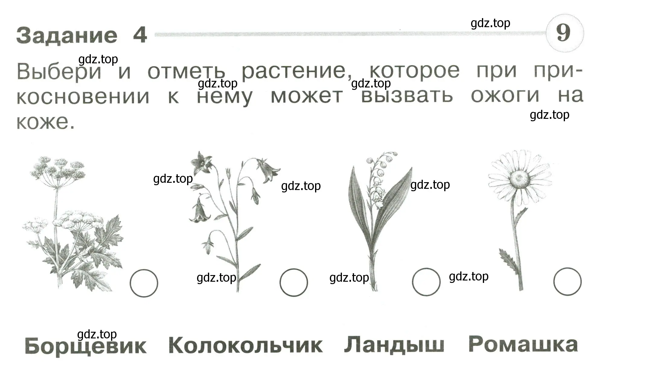 Условие номер 4 (страница 51) гдз по окружающему миру 1 класс Плешаков, Плешаков, проверочные работы