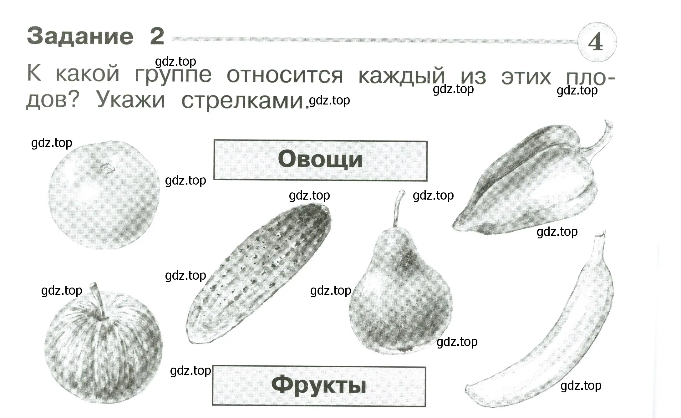 Условие номер 2 (страница 52) гдз по окружающему миру 1 класс Плешаков, Плешаков, проверочные работы